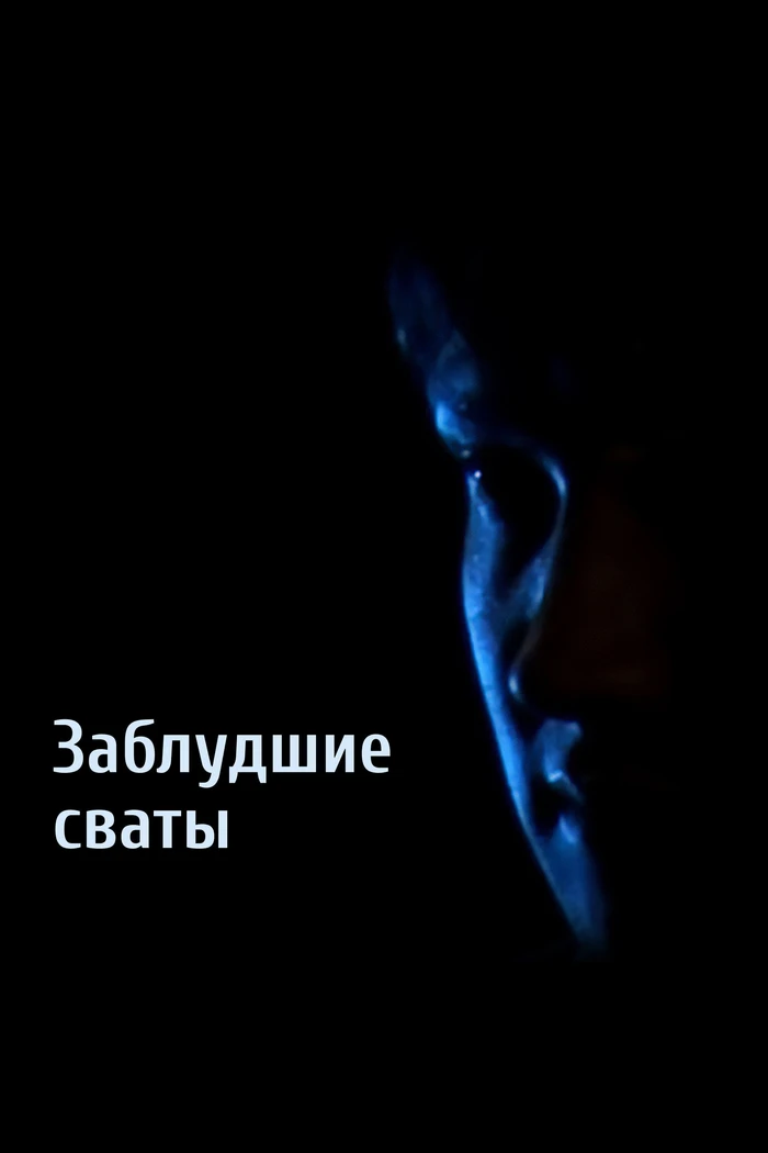 Заблудшие сваты