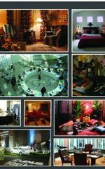 Айяна Троттер